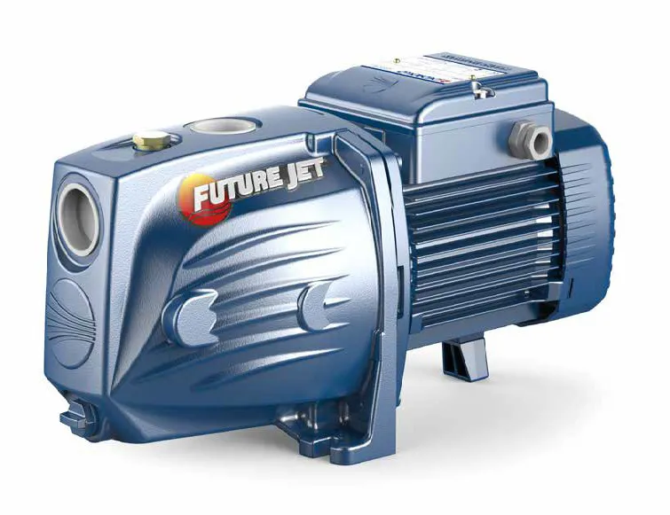 Pedrollo Future JETm 2A - (230V) Bewässerungspumpe Pedrollo Future JETm 2A - (230V) Bewässerungspumpe